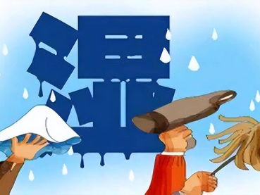 30天减肥黄金计划：开启健康瘦身之旅