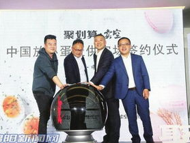 柯淳婉拒200万合作，坚守原则彰显明星风范