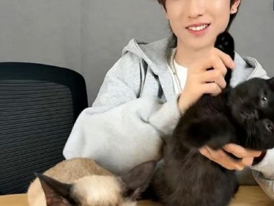 童禹坤直播带萌猫，网友直呼“治愈系”